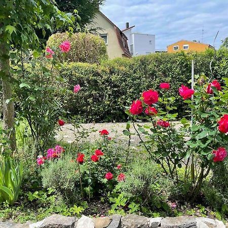 Fewo Apartment Lake Of Constance FDH Екстериор снимка