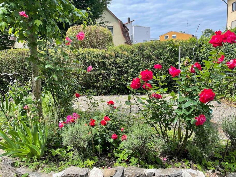 Fewo Apartment Lake Of Constance FDH Екстериор снимка